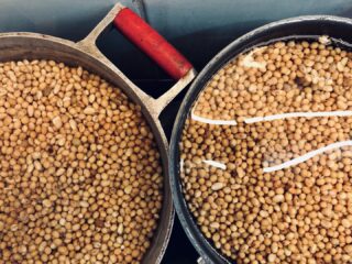 Hj é dia de fazer mais shoyu!

#shoyu
#shoyuorganico 
#shoyuartesanal